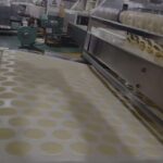 Potato Chips Factory,