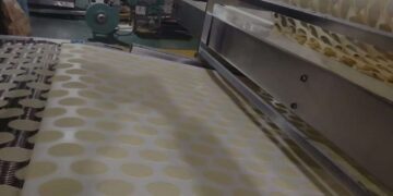Potato Chips Factory,