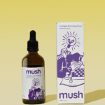 lion's mane mushroom supplements