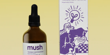 lion's mane mushroom supplements